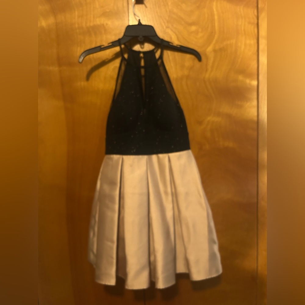 Teeze Me Black and Tan Dress